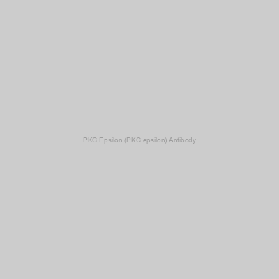 Abbexa - PKC Epsilon (PKC epsilon) Antibody